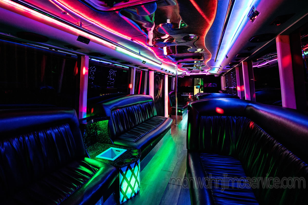 Birthday In A Party Bus2